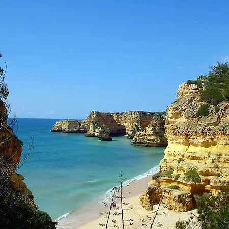 公寓 2 Bedroom Located Near The Beach *